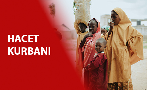 Hacet Kurbanı